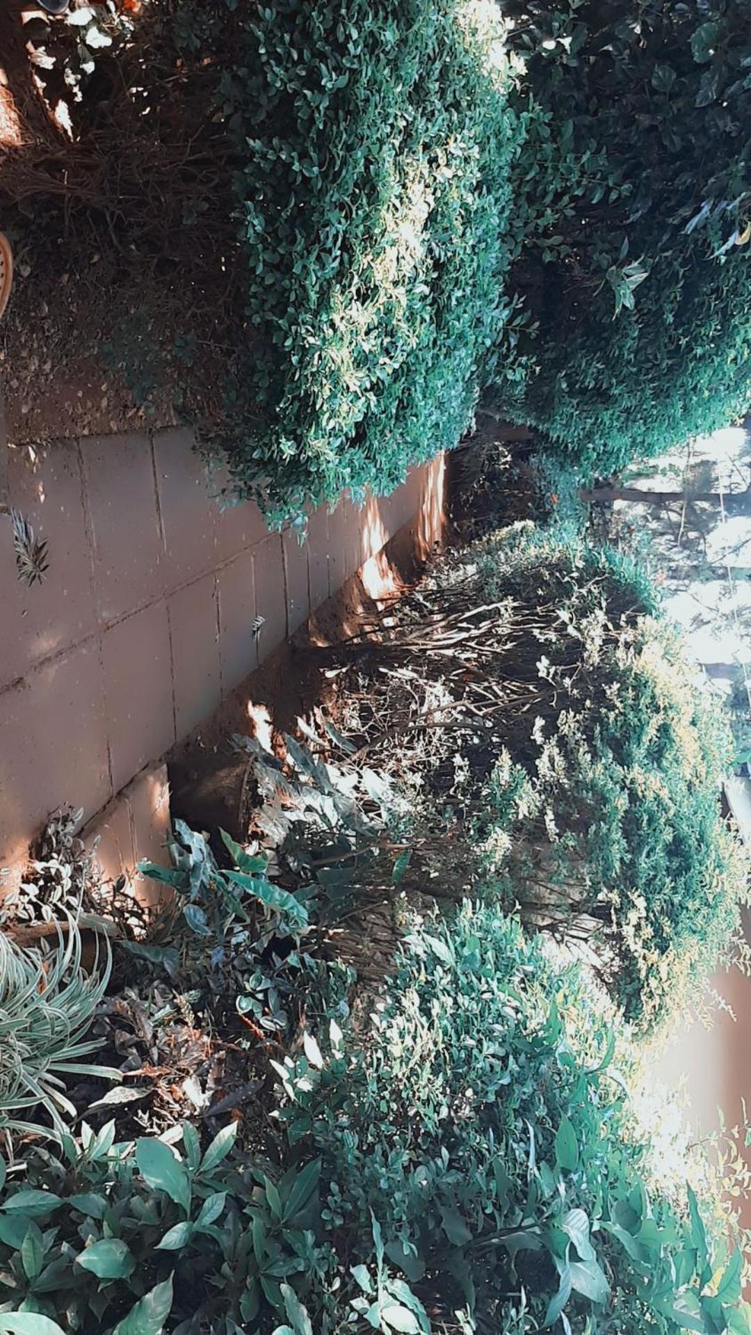Maseno Castles Resort Kisumu Exterior foto